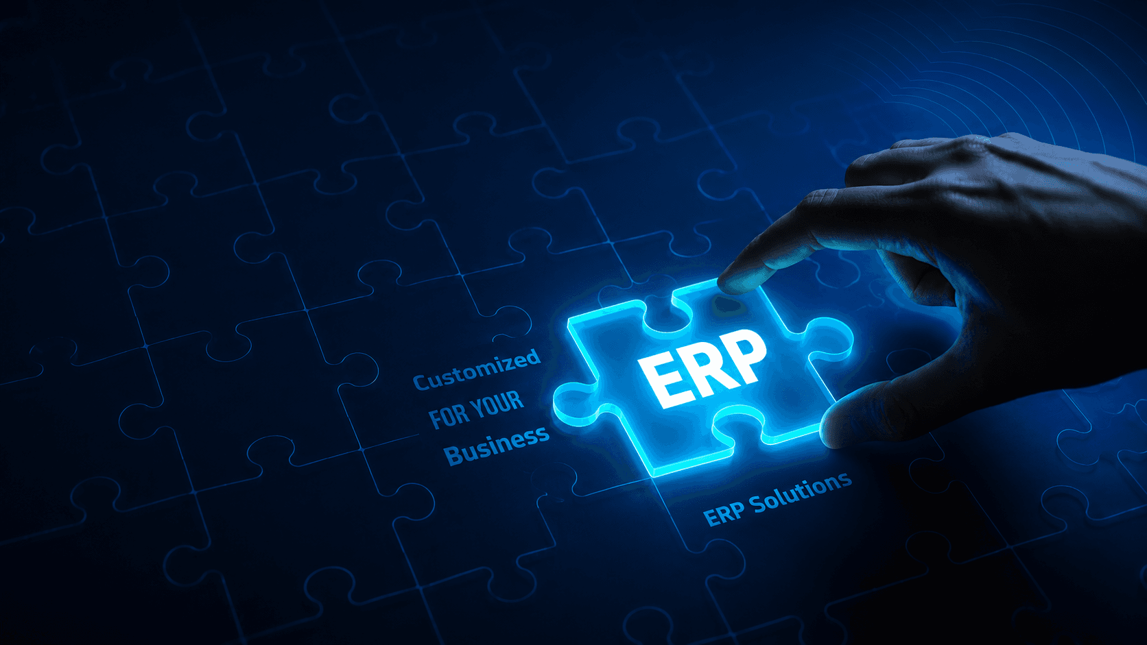 custom erp development