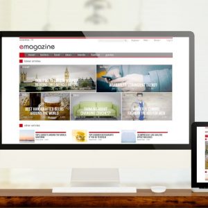 Standard CMS Website